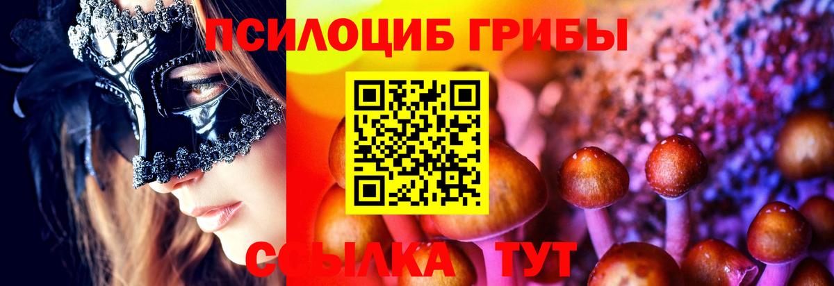 Галлюциногенные грибы Psilocybine cubensis  Псилоцибиновые грибы GOLDEN TEACHER  Оренбург  Вход с VPN 