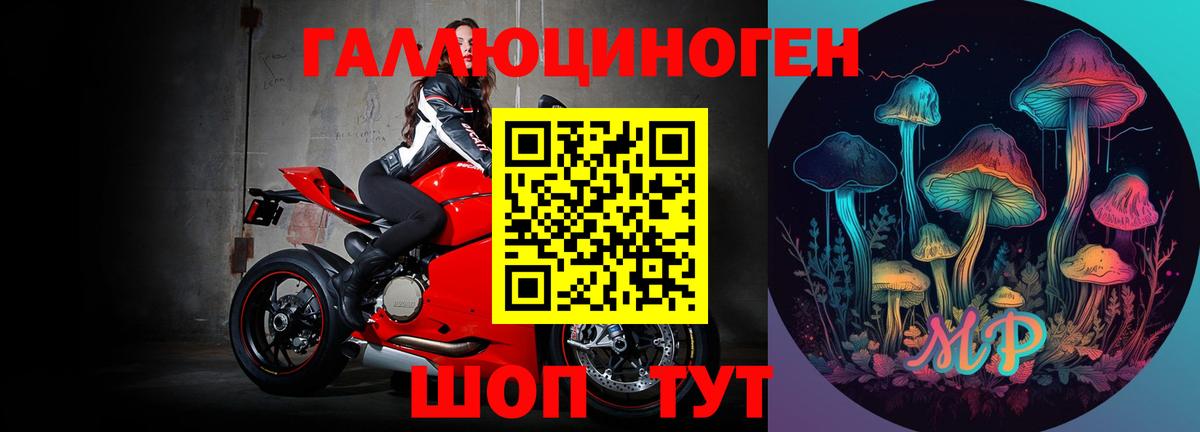 Псилоцибиновые грибы GOLDEN TEACHER Оренбург